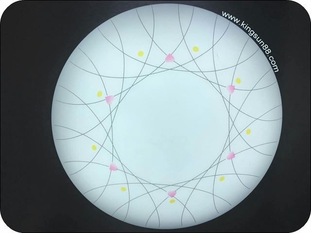 OB LED CL1224E led ceiling lamp